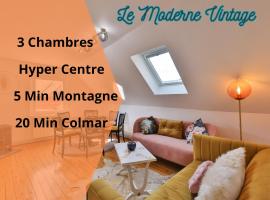 Le Moderne Vintage Hyper Centre, vue cigognes, montagne, neuf au calme, 3 étoiles, holiday rental in Munster