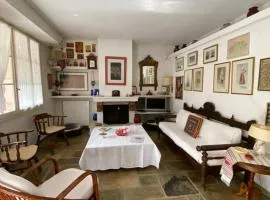 Villa V