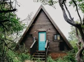 The Maverick: A-Frame w/ Hammock and Tree Top View