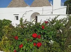 Trullo in piena valle d'itria del 1800