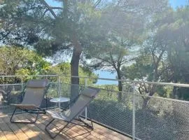 Sète - Maison entière et jardin sur le Mont Saint Clair - vue mer et étang