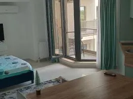 Studio Butoaie