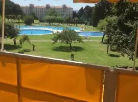 Hortensias de jardín