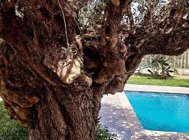 Olive Sense Villa with jacuzzi and sauna