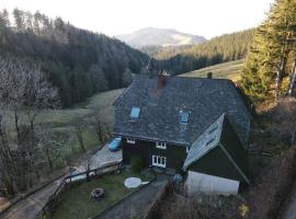 Schwarzwald Chalet - Karlshütte, hôtel à Gütenbach