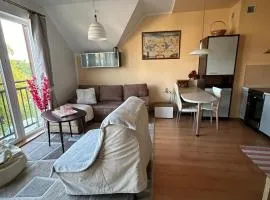 Apartament Róża