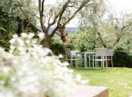 Atto Primo Valpolicella