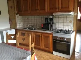 Appartement 3 pièces à Châtel, 6 pers, proche télécabine, balcon exposé sud/ouest - FR-1-676-49