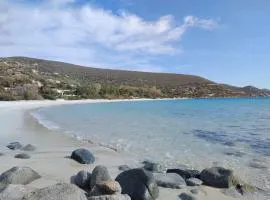 Villa Vivi