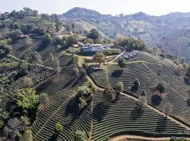 WATA KHIRI by Wang Put Tan