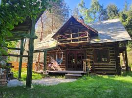 Domek w lesie Dzwonkarnia, cheap hotel in Dzwonkowice