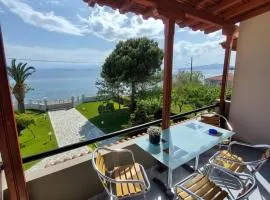 Platanidia Apartment Pelion