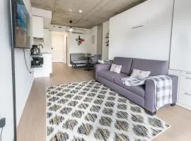 Luxurious condo downtown