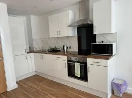 NEW Penthouse height Flat, City View Balcony, Free Gym & More Minimalistic Home