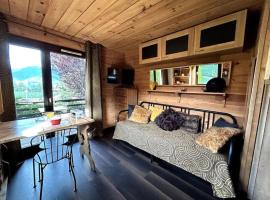 Studio cosy esprit chalet, cabin in Combloux
