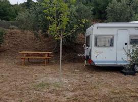 Askalosia Caravan, campsite in Agios Georgios