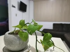 La Casa del Oso Querétaro *Cerca del Centro*