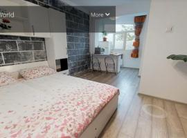 Victoria's Studio Deva, hotel in Deva