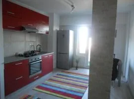 Reyna Apartment, Faleza Nord