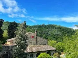 Casa nel bosco il Grottone