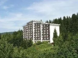 Komfortables Appartement in Neureichenau mit Terrasse, gemeinsamem Pool und Garten und Panoramablick