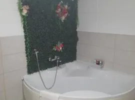 Apartman Tomic