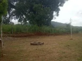 Green hut house
