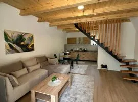 Ammirevole Ravne Oga