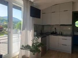 Apartamenty Nad Zimnikiem