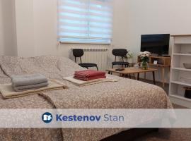 Studi-apartman Kestenov stan, апартаменти у місті Вршац