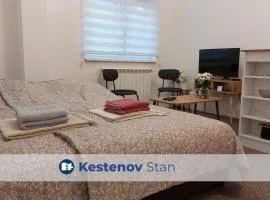 Studi-apartman Kestenov stan