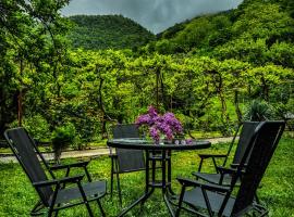 Family hotel mountain panorama, hotel en Borjomi