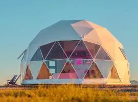 The Hive