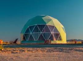 The Beer Dome