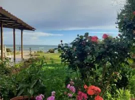Villa Apostolos