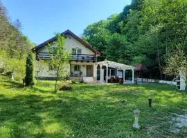 Casa Licurici