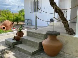 Pedi’s house