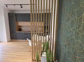 Apartament Park Trzy Stawy