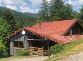 Gîte La Bresse, 5 pièces, 11 personnes - FR-1-589-86