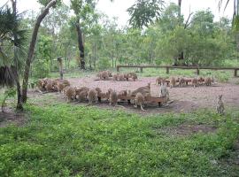 Nina's Ark Wildlife Sanctuary Package, area glamping di Batchelor