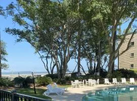 The Nest at Port Royal #1326
