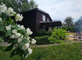 Dom letniskowy przy lesie nad jeziorem, pet-friendly hotel in Rogowo