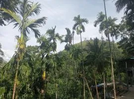 Cool Breeze View