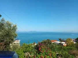 Aaron Villa 1