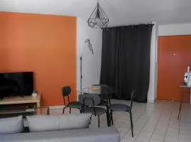 Fox House - Jolie T2 à Saint Orens