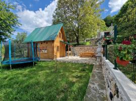Brvnara RIĆKI, seoska kuća u gradu Cetinje