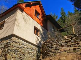 Penzion Pichberg Horská chata, Hotel in Rokytnice nad Jizerou