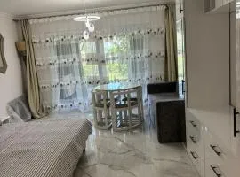 Domina Coral Bey Harem