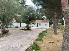 Maison plain pied au calme sur parcelle arborée