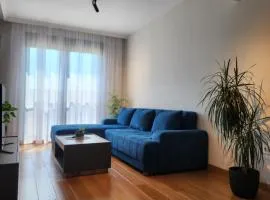 Green Apartments Podgorica With Garage